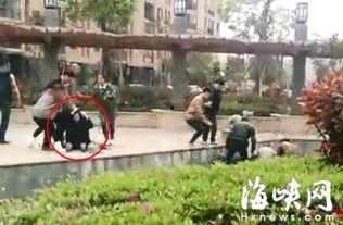 闽侯上街爆料事件视频最新,视频揭露惊人真相，引发社会关注